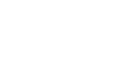 New Point Logo White